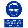 Cedule PRACUJ JEN V OCHRANNÝCH BRÝLÍCH