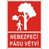 Cedule NEBEZPEČÍ PÁDU VĚTVÍ 1